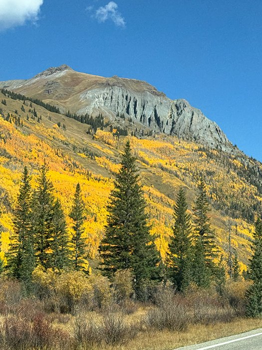 US 550 [San Juan National Forest]