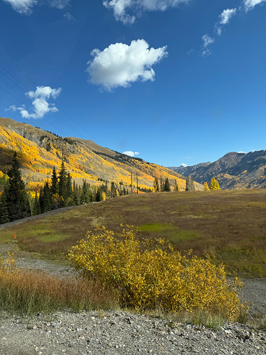 US 550 [San Juan National Forest]