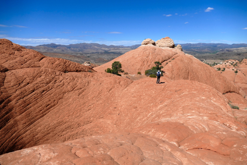 The Bowl - Vortex [Red Mountains]