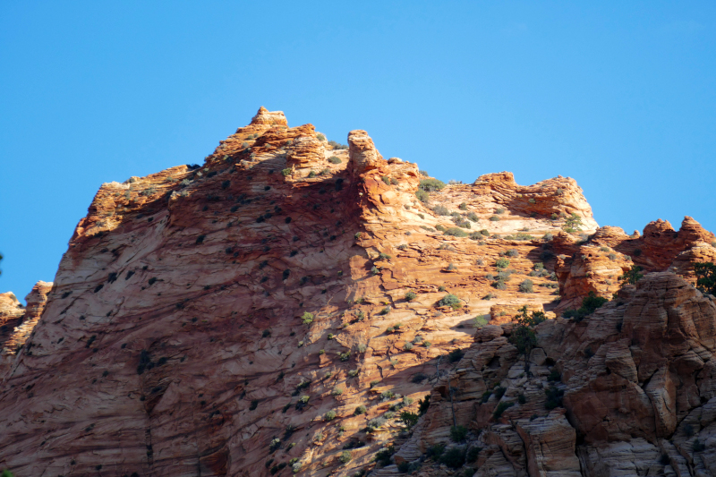 The Beehive [Canaan Mountain] via Squirrel Creek