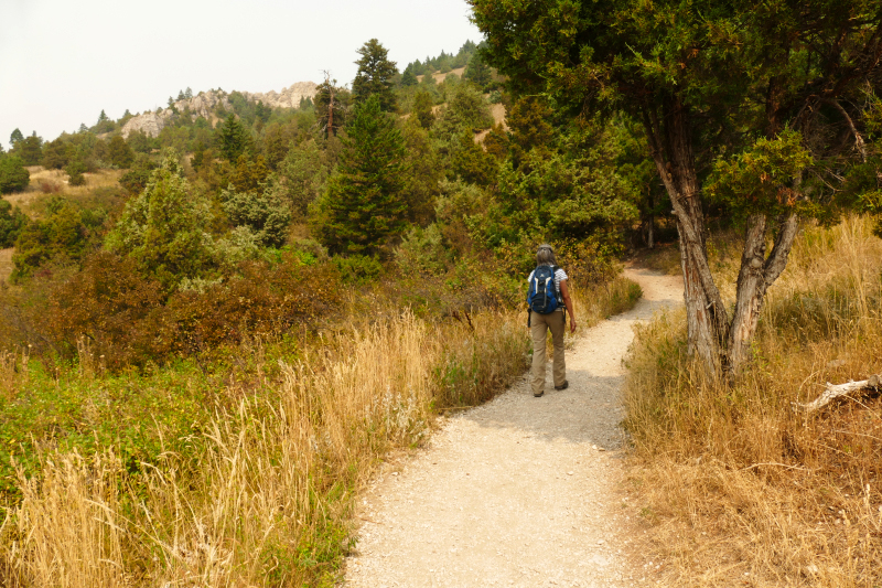 College M Trail Bozeman [Gallatin National Forest]