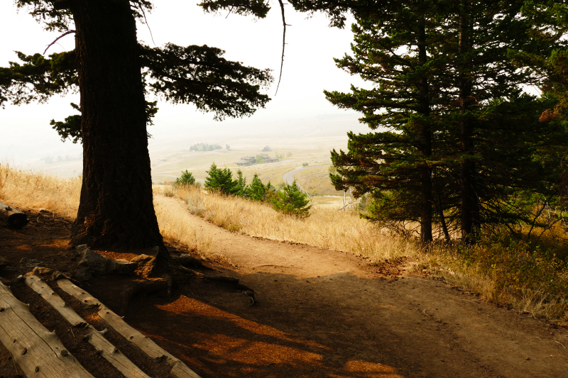 College M Trail Bozeman [Gallatin National Forest]