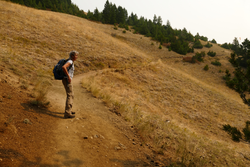 College M Trail Bozeman [Gallatin National Forest]