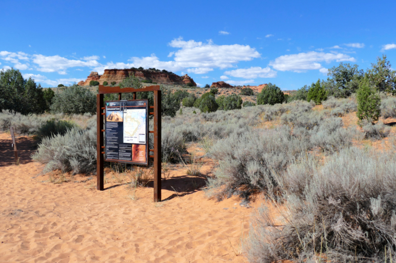 Cottonwood Cove and Teepees [Coyote Buttes South Unit]