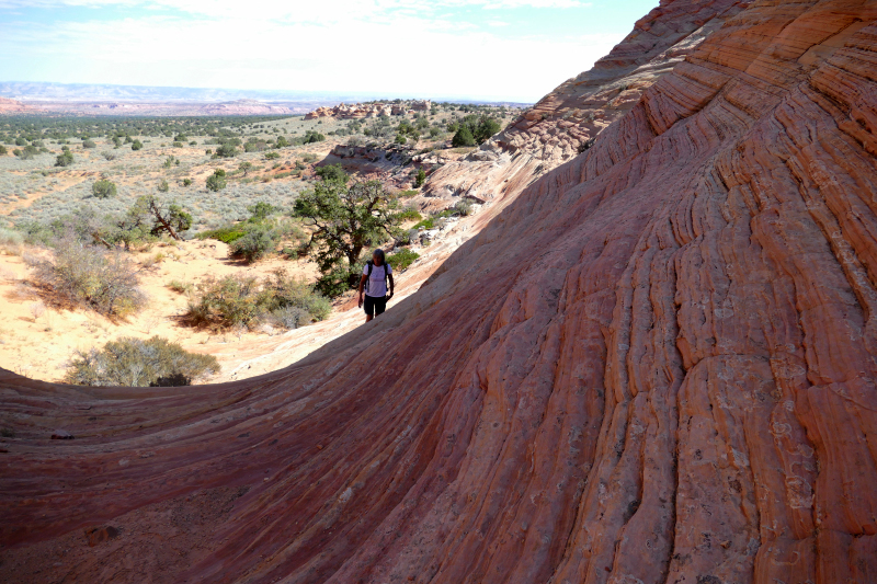 Cottonwood Cove and Teepees [Coyote Buttes South Unit]