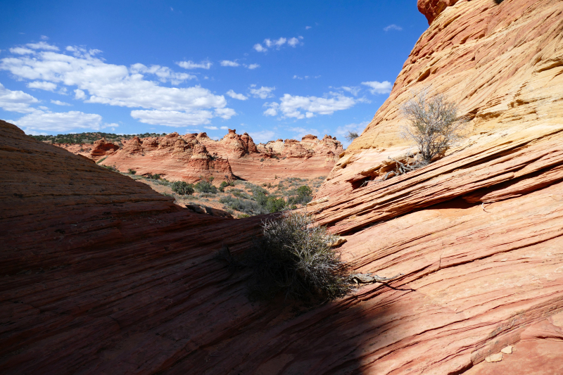 Cottonwood Cove and Teepees [Coyote Buttes South Unit]