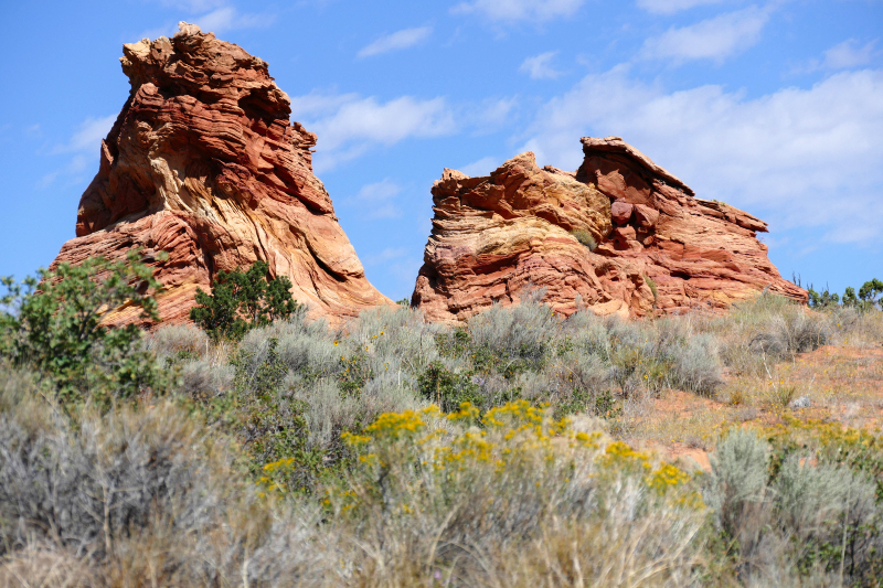 Cottonwood Cove and Teepees [Coyote Buttes South Unit]