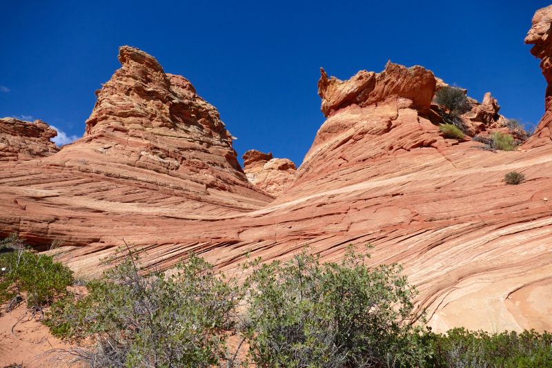 Cottonwood Cove and Teepees [Coyote Buttes South Unit]