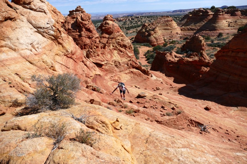 Cottonwood Cove and Teepees [Coyote Buttes South Unit]