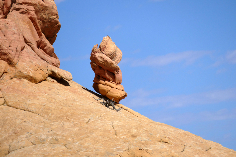 Cottonwood Cove and Teepees [Coyote Buttes South Unit]