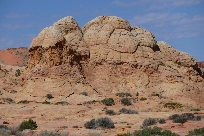 Cottonwood Cove and Teepees [Coyote Buttes South Unit]