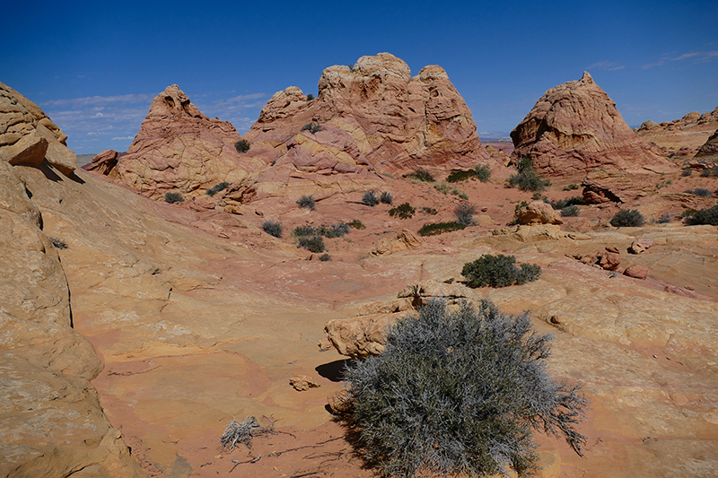 Cottonwood Cove and Teepees [Coyote Buttes South Unit]