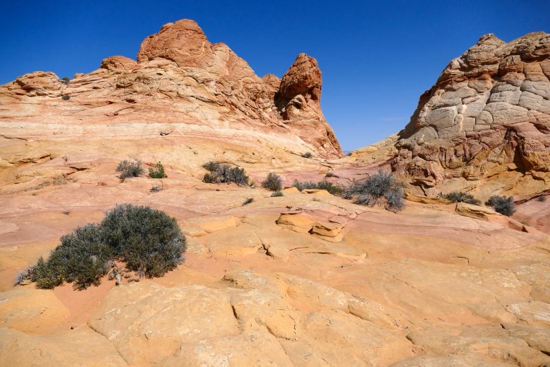 Cottonwood Cove and Teepees [Coyote Buttes South Unit]