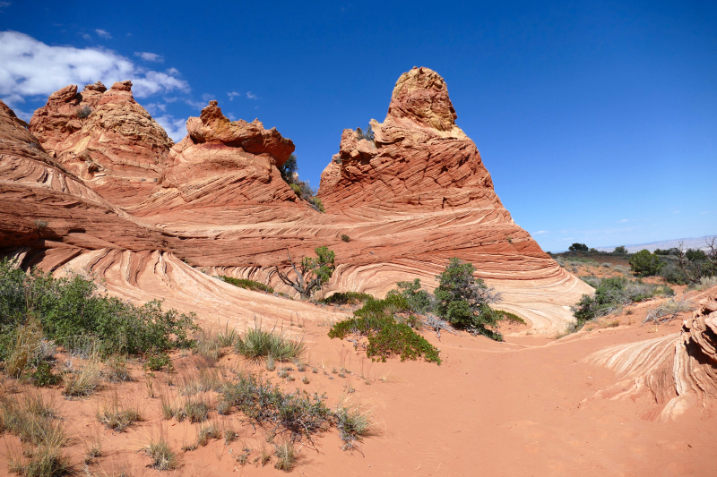 Cottonwood Cove and Teepees [Coyote Buttes South Unit]