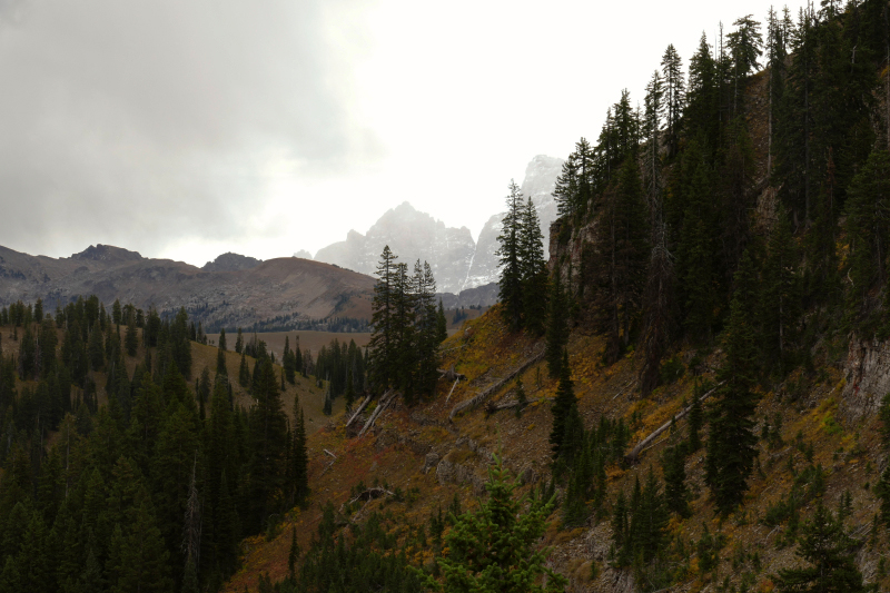 Freds Mountain [Targhee National Forest]