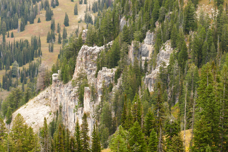 Freds Mountain [Targhee National Forest]