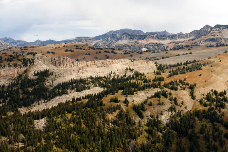 Freds Mountain [Targhee National Forest]