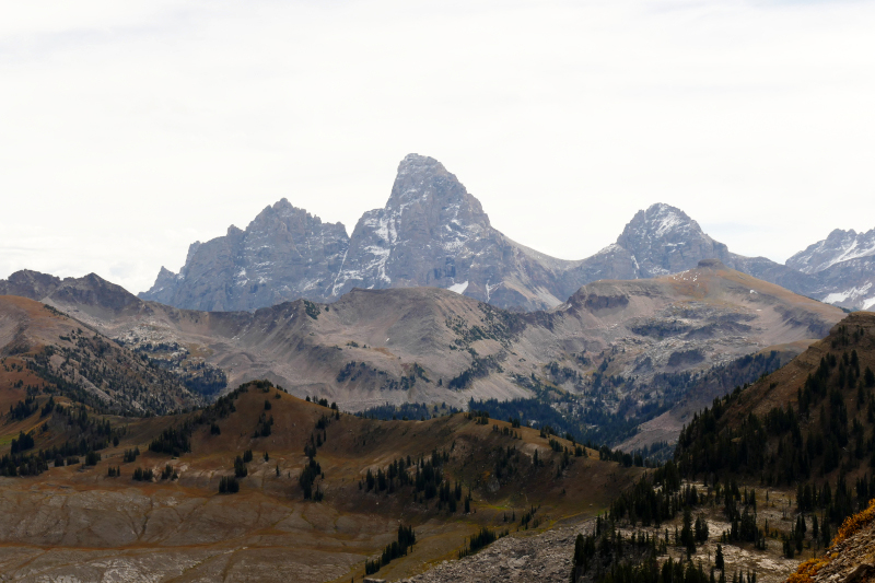 Freds Mountain [Targhee National Forest]