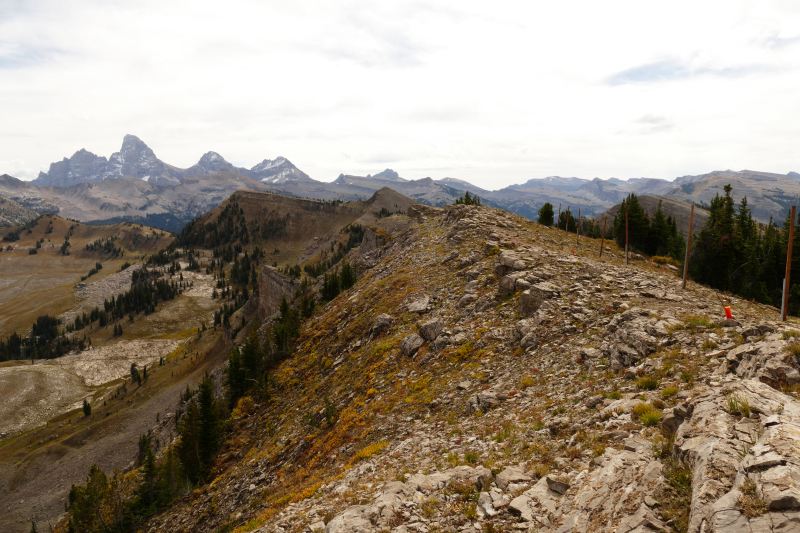 Freds Mountain [Targhee National Forest]