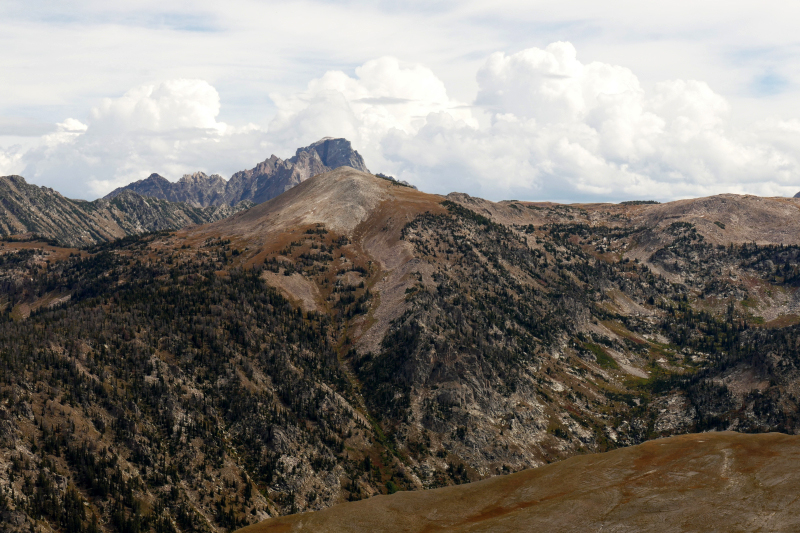 Freds Mountain [Targhee National Forest]