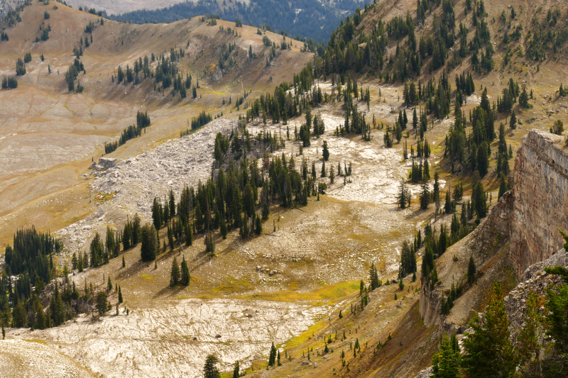 Freds Mountain [Targhee National Forest]