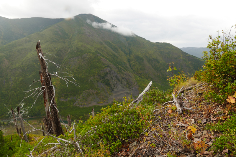 Glacier View Mountain [Demers Ridge]