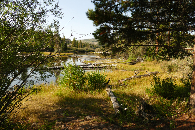 Half Moon Lake - Pole Creek - Fayette Lake [Bridger National Forest]