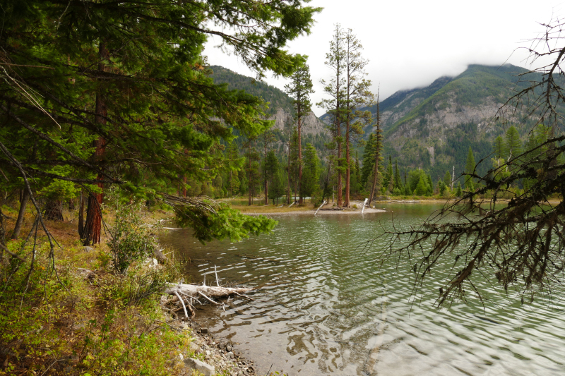 SHolland Lake and Falls [Flathead National Forest]