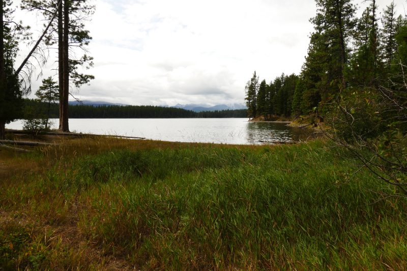 Holland Lake and Falls [Flathead National Forest]