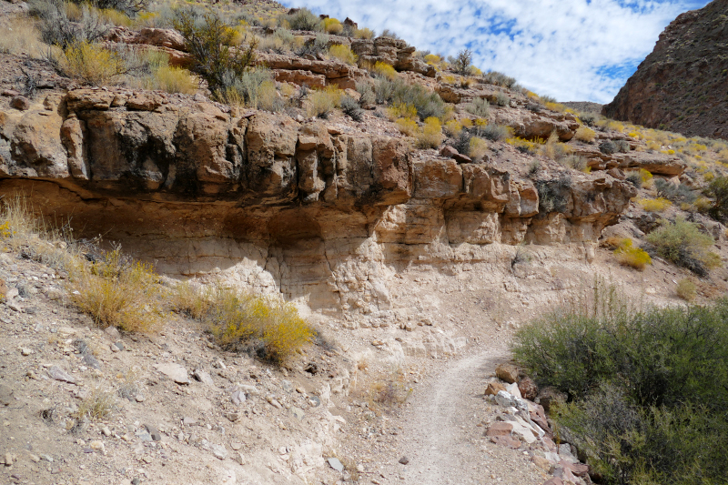 Kershaw Ryan State Park Trails