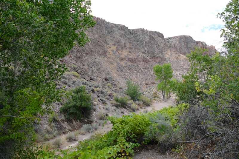 Kershaw Ryan State Park Trails