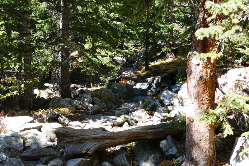 Mc Cullough Gulch [Arapaho National Forest]