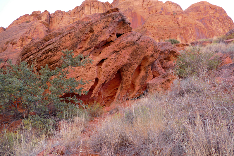 Padre Canyon [Snow Canyon State Park]