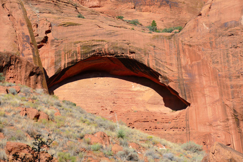 Padre Canyon [Snow Canyon State Park]