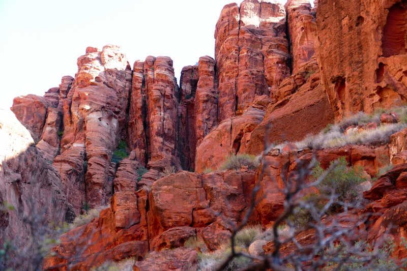 Padre Canyon [Snow Canyon State Park]