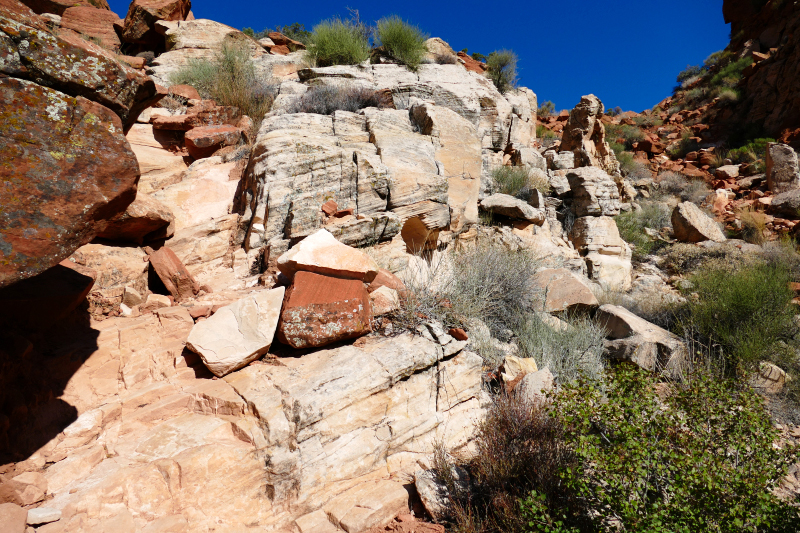 Padre Canyon [Snow Canyon State Park]