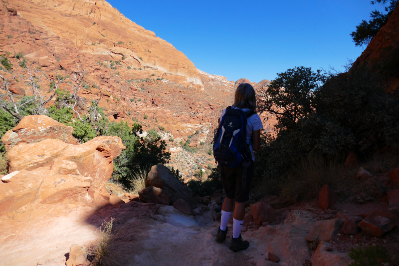 Padre Canyon [Snow Canyon State Park]