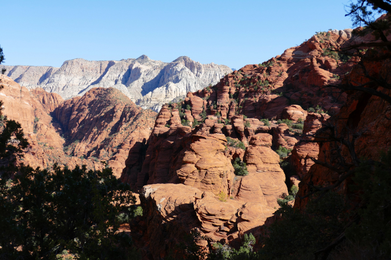 Padre Canyon [Snow Canyon State Park]