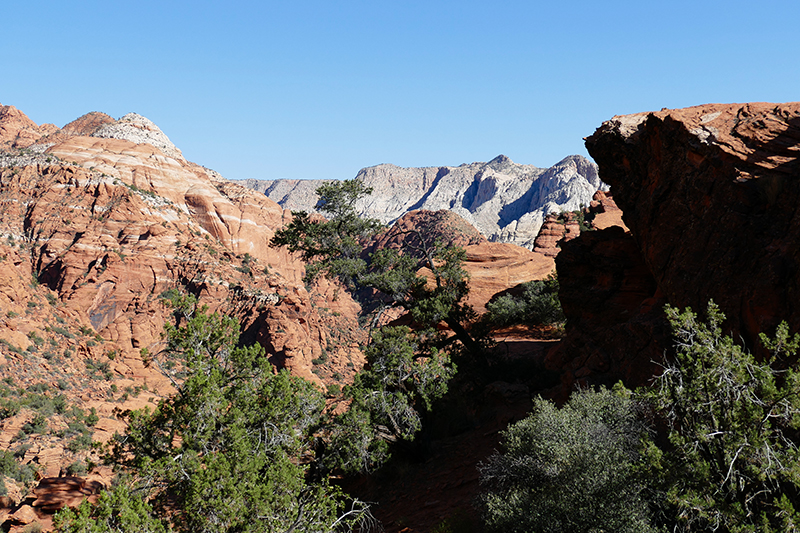 Padre Canyon [Snow Canyon State Park]