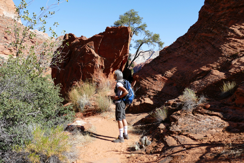 Padre Canyon [Snow Canyon State Park]