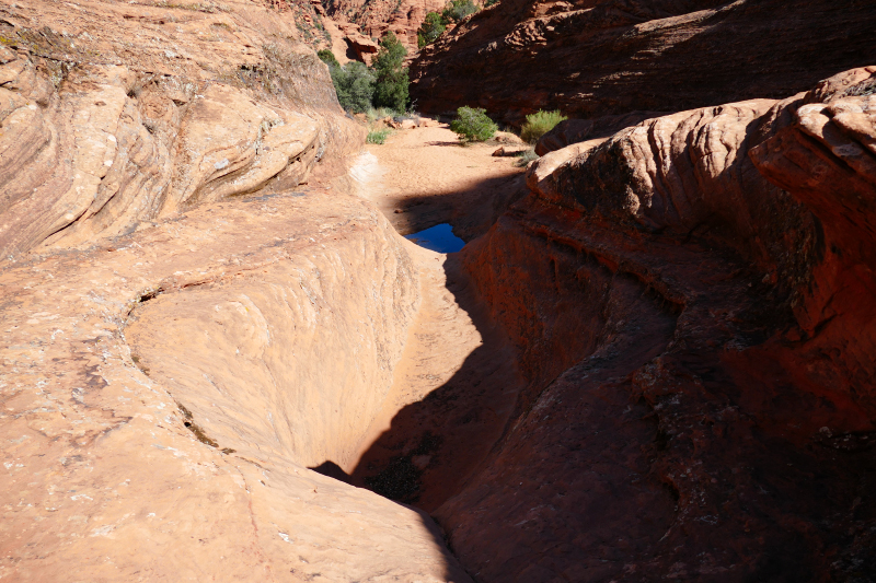 Padre Canyon [Snow Canyon State Park]