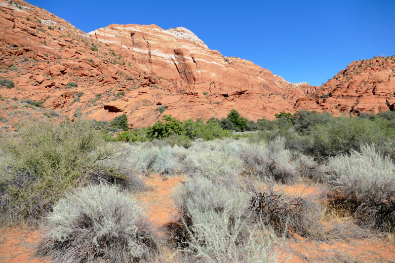 Padre Canyon [Snow Canyon State Park]