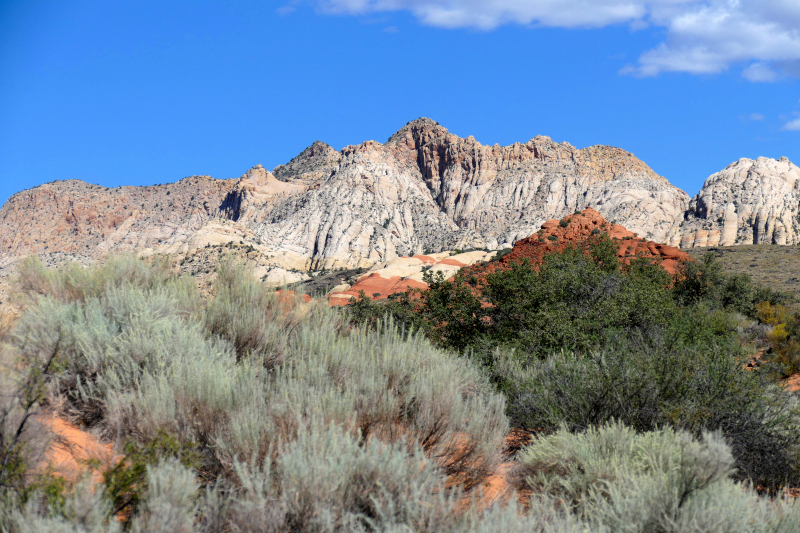 Padre Canyon [Snow Canyon State Park]