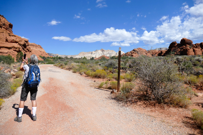 Padre Canyon [Snow Canyon State Park]