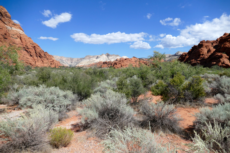 Snow Canyon [Snow Canyon State Park]