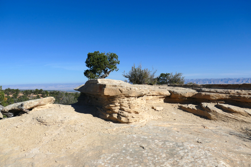 Ribbon Trail [Grand Junction]