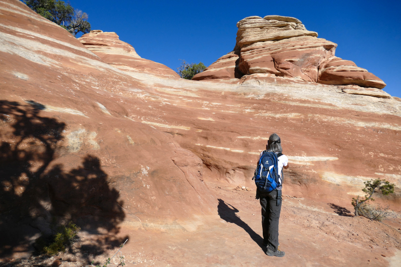 Ribbon Trail [Colorado National Monument]