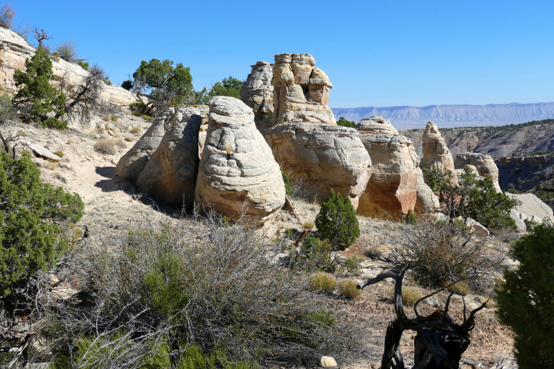 Ribbon Trail [Grand Junction]