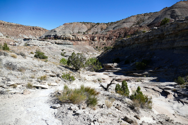 Ribbon Trail [Grand Junction]