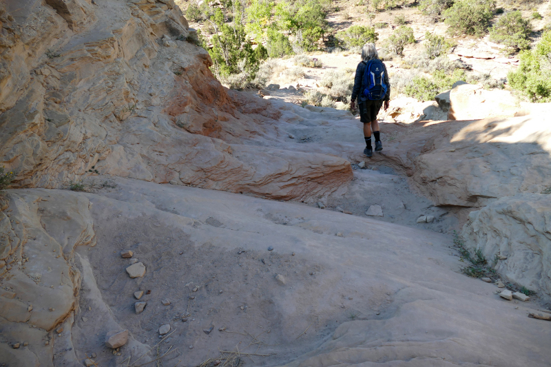 Rough Canyon Loop [Grand Junction]